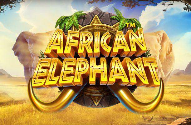 African Elephant – Pragmatic Play
